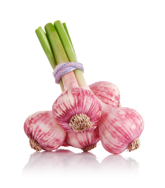 Fresh garlic fruits isolated on white — Stock Photo, Image