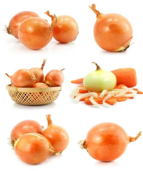 Zbiór owoców warzyw cebuli, na białym tle — Zdjęcie stockowe
