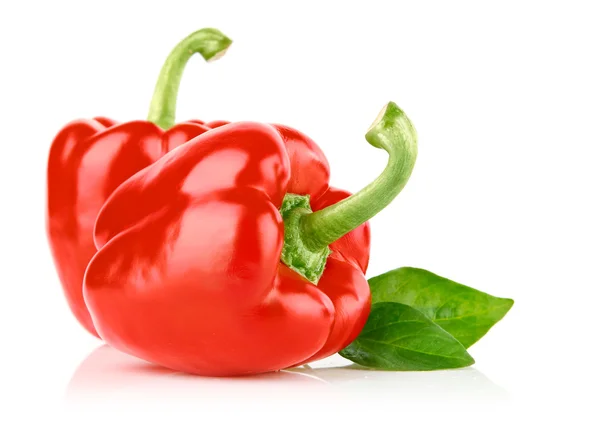 Färsk paprika frukter med gröna blad — Stockfoto