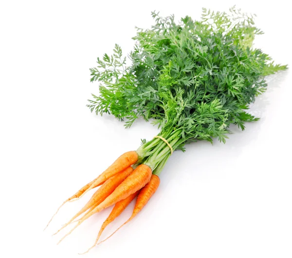 Fresh carrot fruits with green leaves — Stock Photo, Image