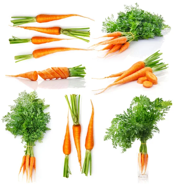Set fresh carrot fruits with green leaves — Stock Photo, Image