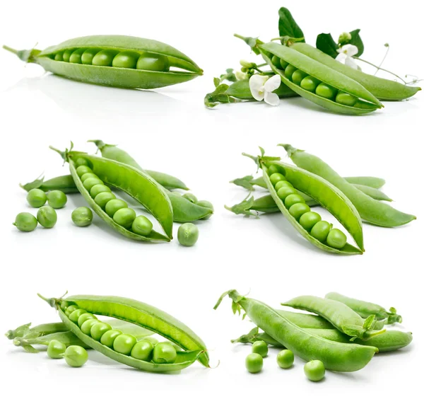Set of fresh green pea in the pod isolated — Stockfoto
