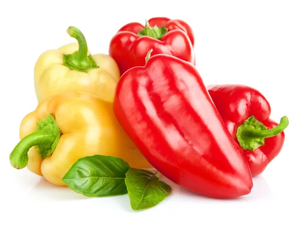 Fresh pepper vegetables — Stock Photo, Image