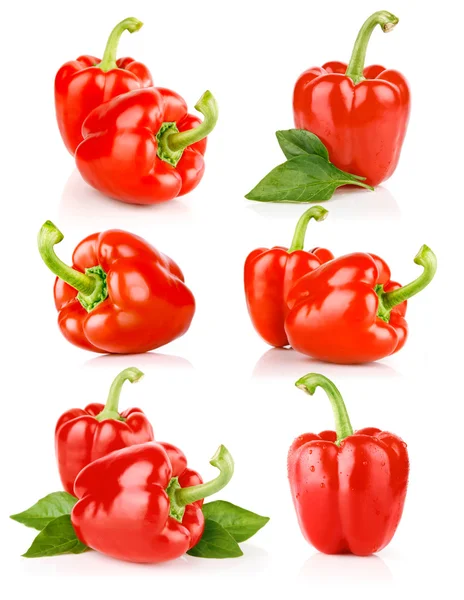 Uppsättning färsk paprika frukter isolerade — Stockfoto