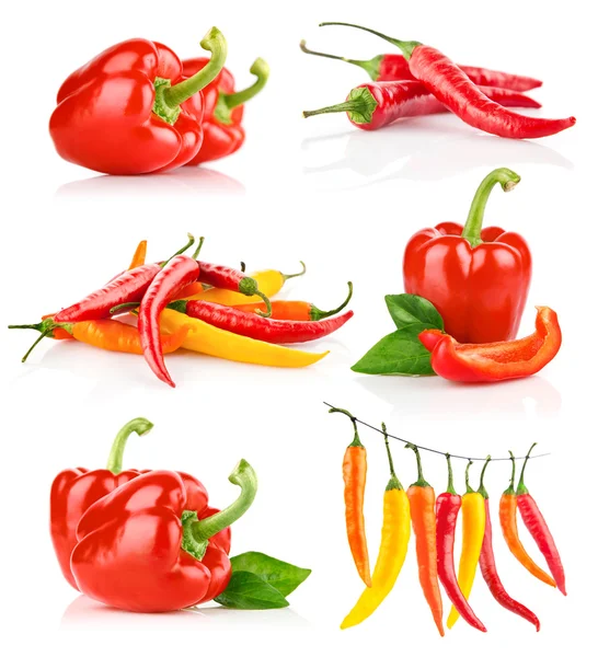 Set red pepper fruits with green leaf — ストック写真