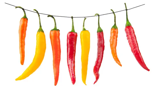 Žluté chilli papričky izolované na bílém — Stock fotografie