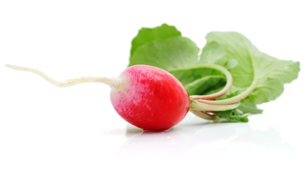 Fresh radish with green leaf — Stock Photo, Image