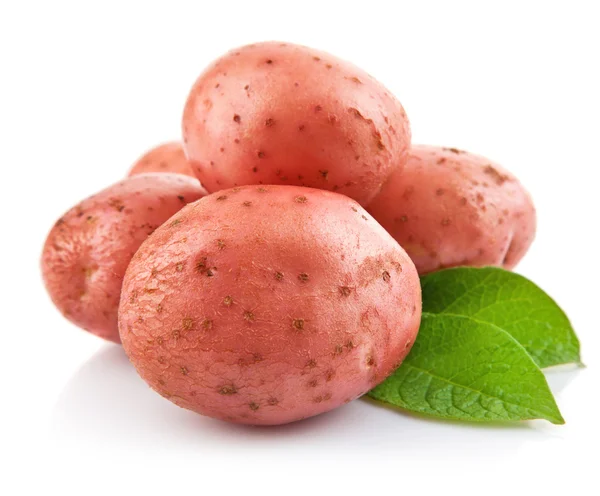Patate fresche con foglia verde — Foto Stock