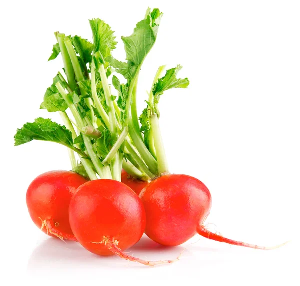 Verduras frescas de rábano rojo con hojas verdes — Foto de Stock