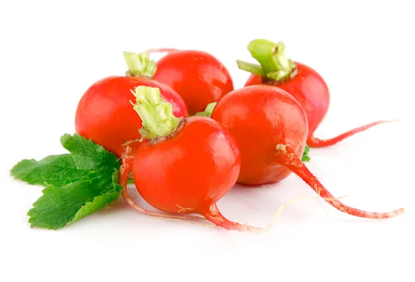 Frisches rotes Rettichgemüse mit grünen Blättern — Stockfoto