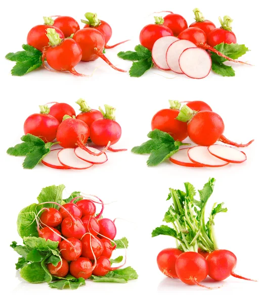 Ställa in färska röda Rädisa grönsaker med gröna blad — Stockfoto
