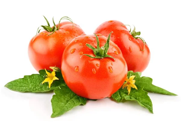 Isolated red tomato vegetable with green leaf — Stock Photo, Image