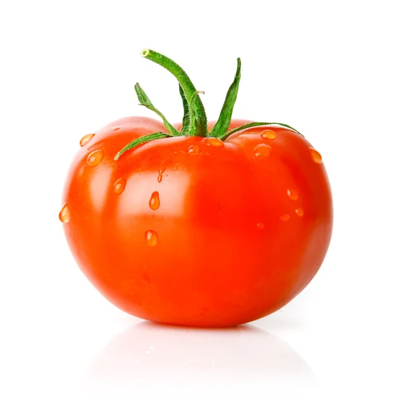 Frutos de tomate fresco con hoja verde — Foto de Stock