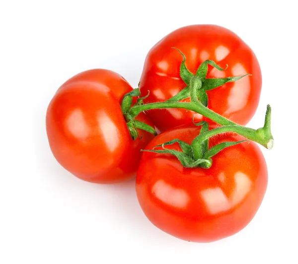 Frischen Tomaten Früchte mit grünen Blättern — Stockfoto