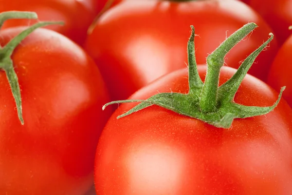 Hintergrund der roten tomaten mit grünem blatt — Stockfoto