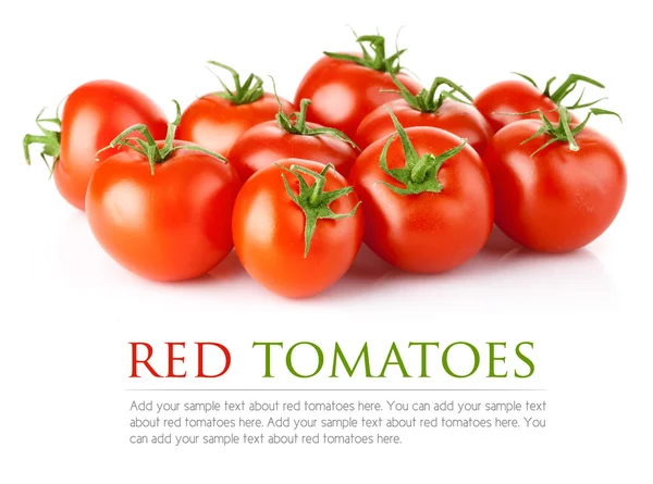 新鲜番茄蔬菜 — 图库照片