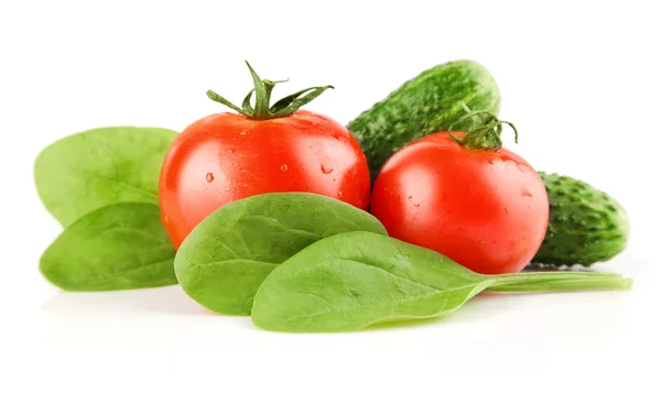 Čerstvá rajčata zelenina — Stock fotografie