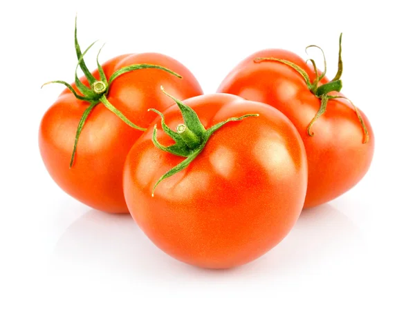 Taze kırmızı domates izole yeşil yaprak — Stok fotoğraf