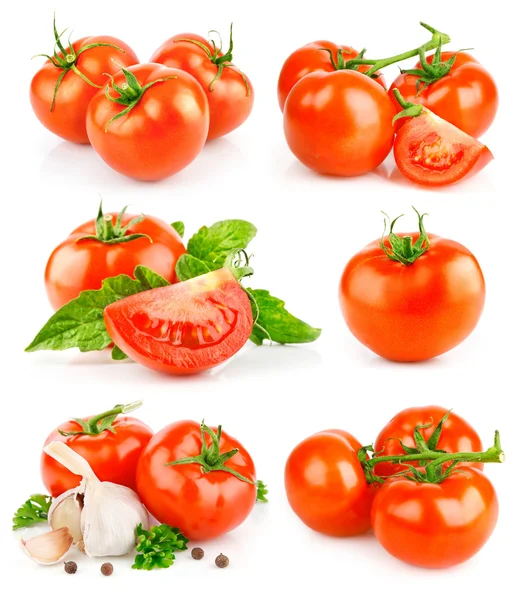 Conjunto de frutos de tomate fresco com folhas verdes — Fotografia de Stock