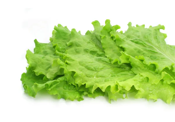 Φρέσκα φύλλα της σαλάτας σε άσπρο φόντο — Stockfoto