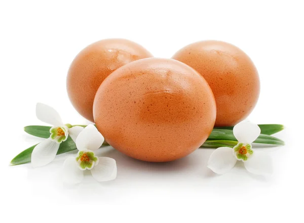 Três ovos de Páscoa com flores de snowdrops — Fotografia de Stock