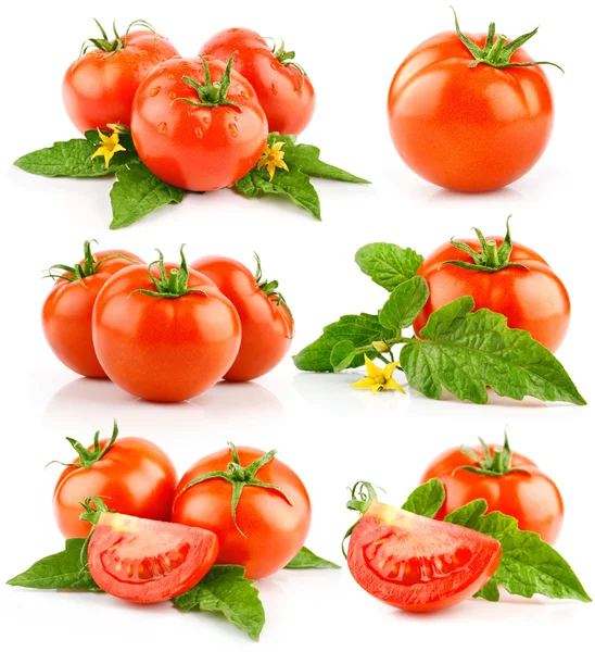 Satz von roten Tomaten mit geschnitten und grünen Blättern lizenzfreie Stockfotos
