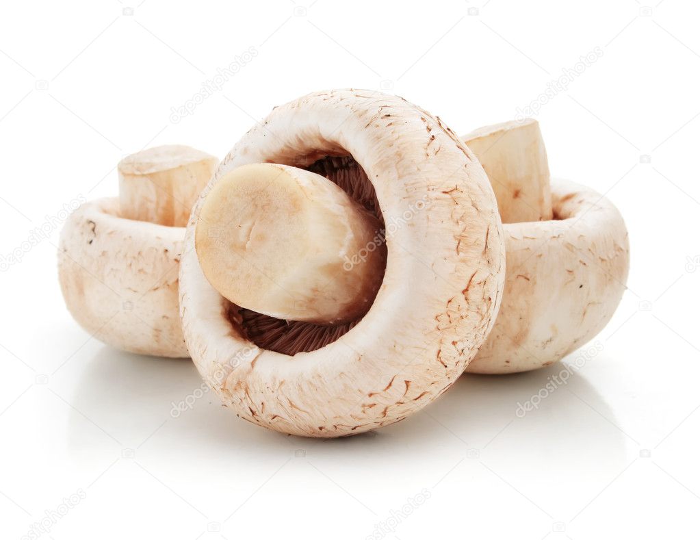 Ripe mushroom champignon fruits isolated