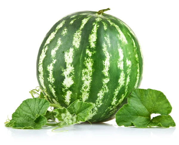Ripe watermelon with green leaf — Stock Photo, Image