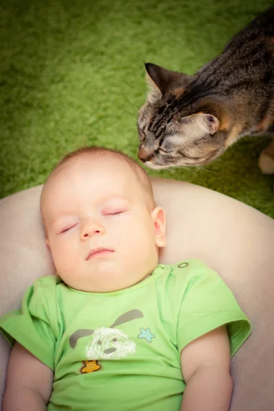 Ребенок и кошка — стоковое фото