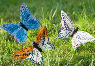 Butterflies clipart