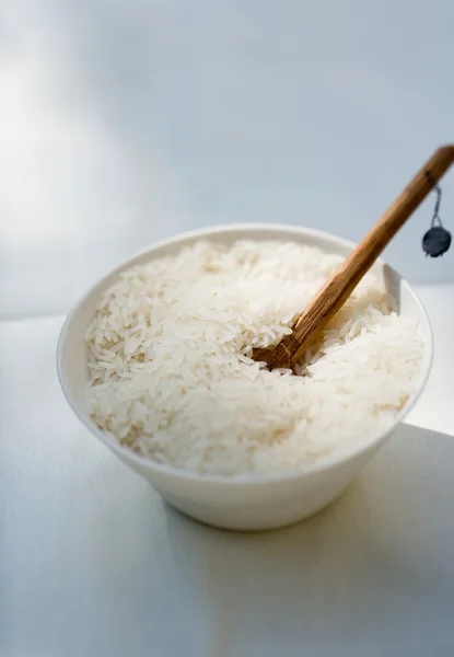 Reis isoliert — Stockfoto