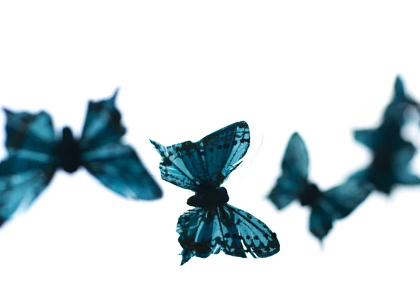Falešné motýli — Stock fotografie