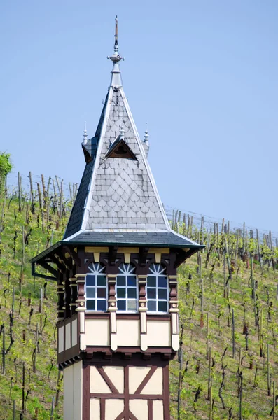Los viñedos de Alsacia — Stockfoto