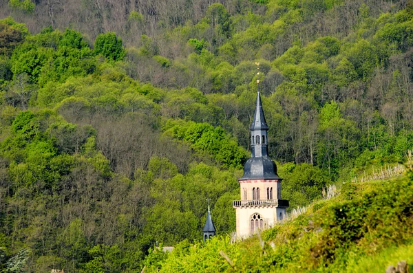 La torre de la iglesia en el bosque — Foto de Stock