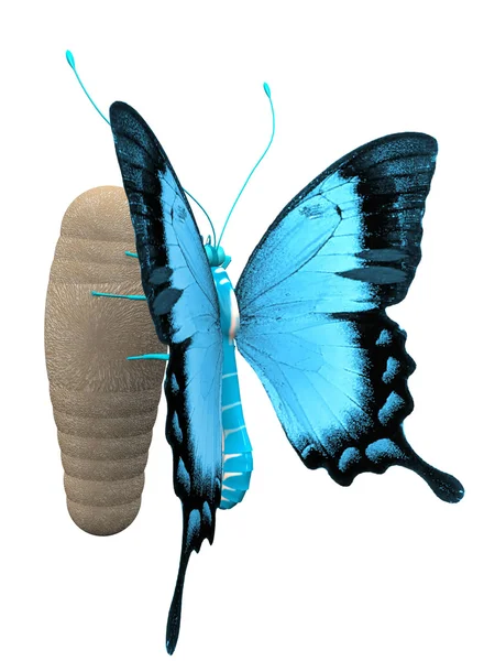De vlinder — Stockfoto