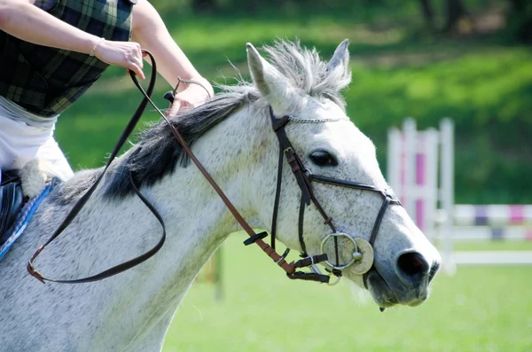 stock image Jumping event