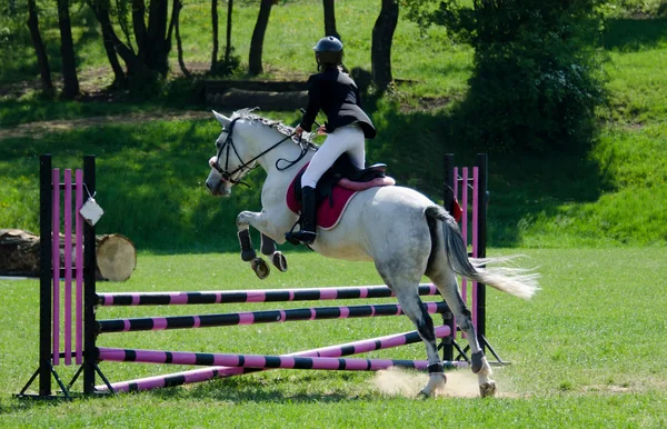 Homem E Cavalo Pulando Uma Cerca Foto de Stock - Imagem de carreira,  saltar: 197594524