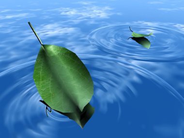 Green leaf on the water clipart