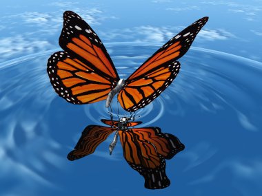 The butterfly clipart