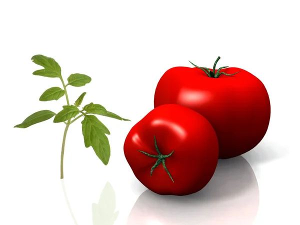 stock image 3d illustration of a tomato