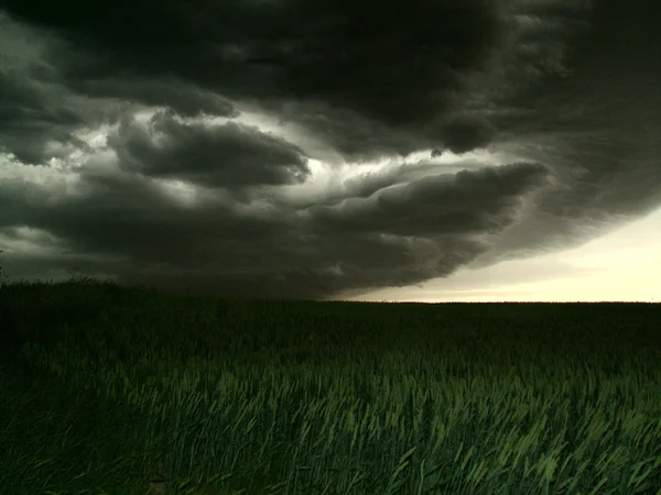 stock image Storm dark clouds over field with grass