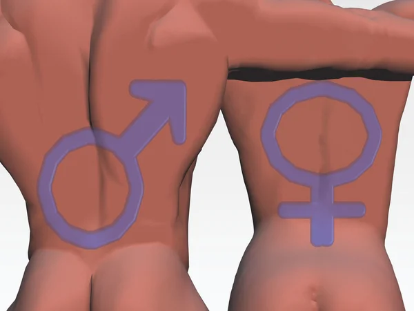 Символ Мужчины и женщины . — стоковое фото