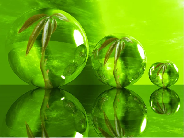 Gröna växter i en bubblor. — Stockfoto