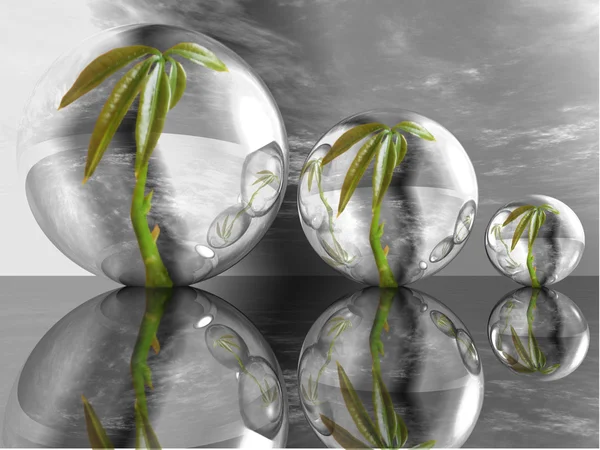 Green plants in a bubbles. — Stock Photo, Image