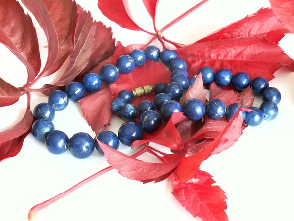 Blue strung beads and red leafs — Stock Photo, Image