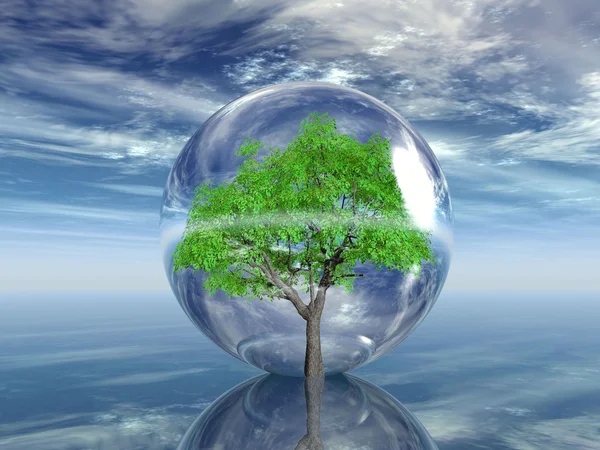 Baum in einer transparenten Blase — Stockfoto