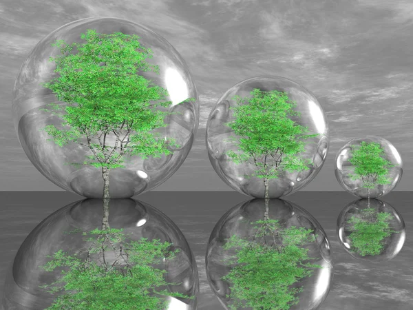 Зеленые деревья в пузырьках — стоковое фото