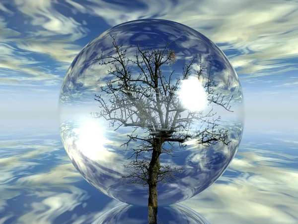 在一个透明的泡泡树 — 图库照片