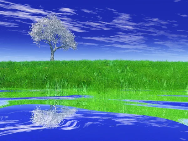 Зеленое поле с деревом — стоковое фото