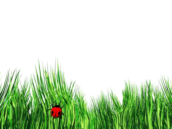 Сонечко в траві — стокове фото